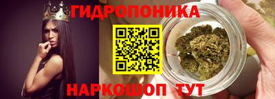 Альфа ПВП Краснознаменск