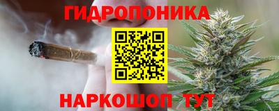 стаф Краснодар